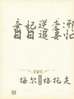 弃妃逆袭:邪王日日追妻忙txt