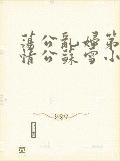 荡公乱妇第1章情公苏雪小说