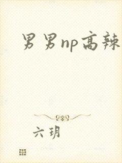 男男np高辣文