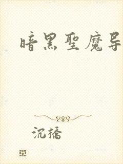 暗黑圣魔导