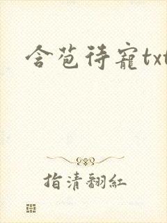 书籍封面