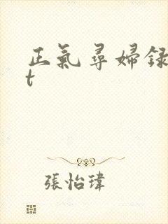正气寻妇录txt