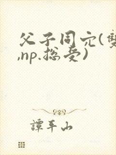父子同穴(双性,np.总受)封面