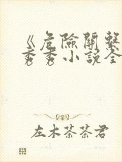 《危险关系》 秀秀小说全文阅读