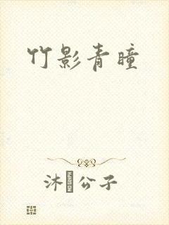 竹影青瞳封面