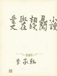 爱与相见小说全文在线阅读