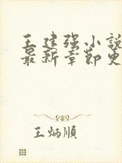 王建强小说免费最新章节更新封面