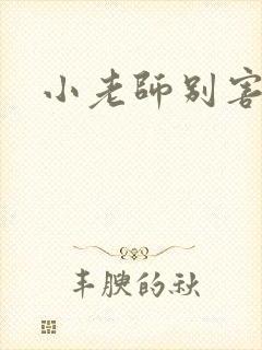 小老师别害羞封面