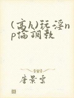 (高h)玩淫np伦调教