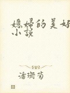 媳妇的美好时代小说