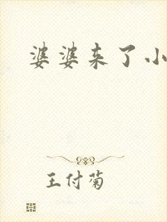 婆婆来了小说封面