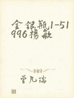 金银瓶1-51996杨敏封面