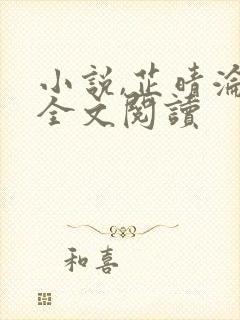 小说,芷晴沦陷全文阅读