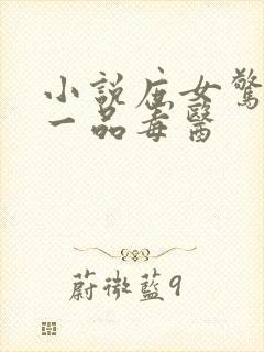 小说庶女惊华:一品毒医