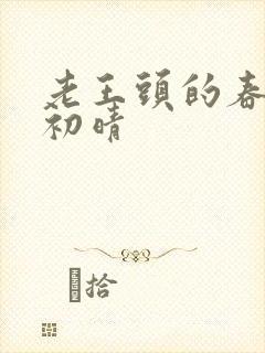 老王头的春天林初晴封面