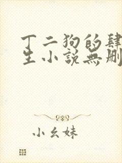 丁二狗的肆意人生小说无删减下载