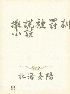撒谎被罚训诫文小说