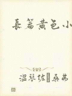 长篇黄色小说