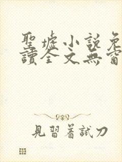 圣墟小说免费阅读全文无窗口