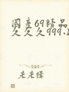 国产69精品久久久久999小说