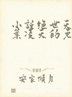 小说绝世天骄·叶凌天的免费阅读