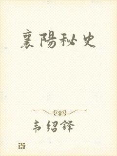 襄阳秘史