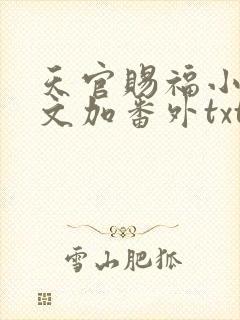 天官赐福小说全文加番外txt