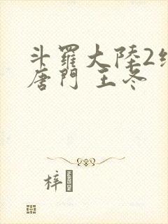 斗罗大陆2绝世唐门 王冬封面