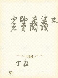 少帅老婆又跑了免费阅读