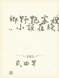 乡野艳寡嫂:... 小说在线阅读封面