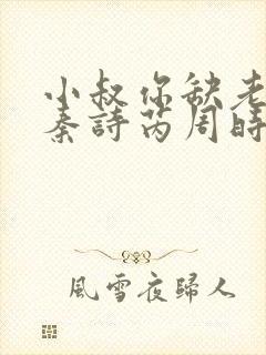 小叔你缺老婆不秦诗芮周时安小说