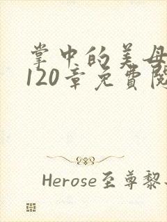 掌中的美母版主120章免费阅读