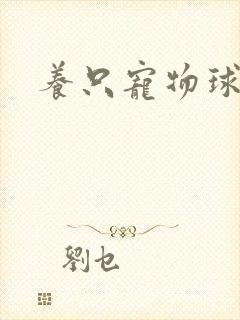 养只宠物球