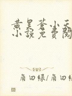 黄昊苍小天妈妈小说免费阅读