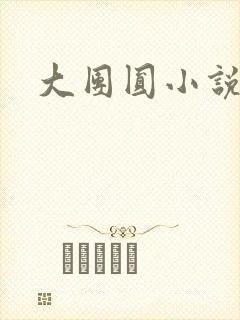 大团圆小说封面