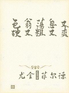 色翁荡息又大又硬又粗又爽