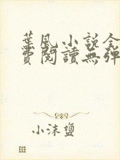 叶风小说全文免费阅读无弹窗最新章节封面