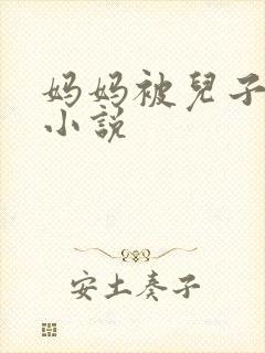 妈妈被儿子操的小说封面
