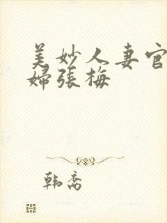 美妙人妻官场少妇张梅封面