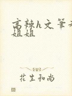 高辣h文笔趣阁姐姐