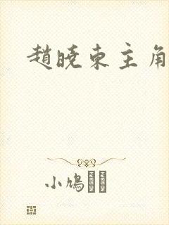 赵晓东主角小说封面