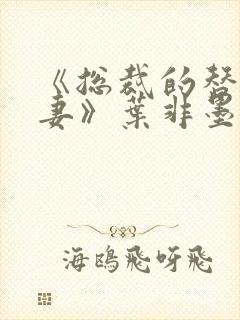 《总裁的替身前妻》叶非墨&温暖