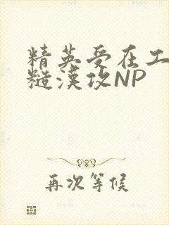 精英受在工地被糙汉攻NP