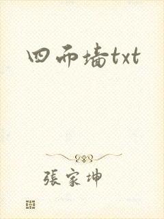 四面墙txt封面