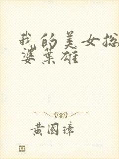 我的美女总裁老婆叶雄封面