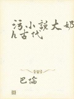 污小说大奶子高h古代
