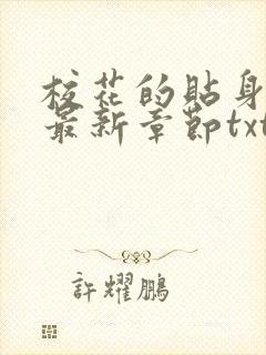 校花的贴身高手最新章节txt