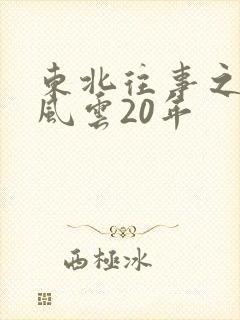 东北往事之黑道风云20年封面
