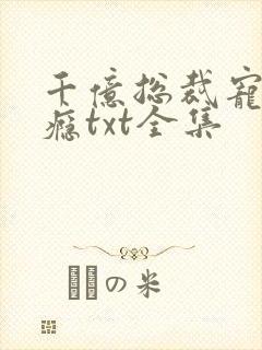 千亿总裁宠妻上瘾txt全集