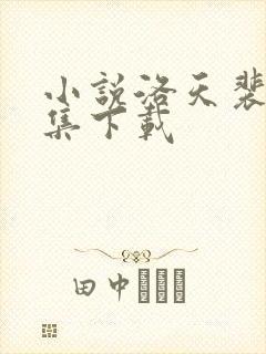 小说洛天裴容全集下载
